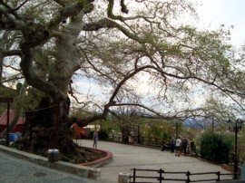 Impressionen von Kreta