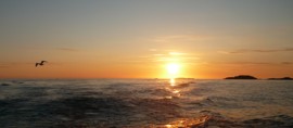 Chancen sind wie Sonnenaufgänge